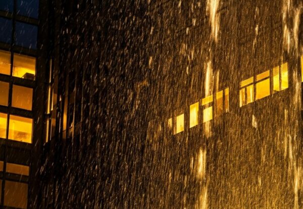 1737022431146 1737022431146